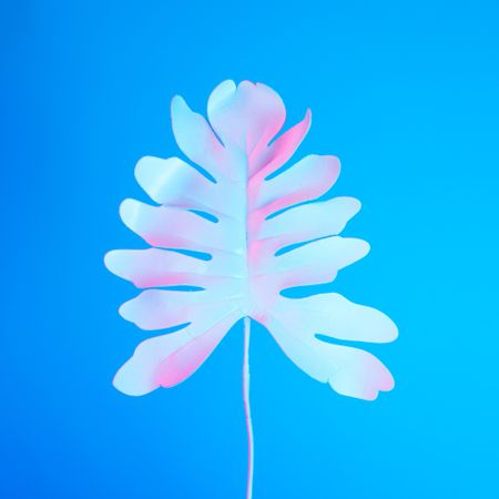 Tropical leaf in vibrant bold gradient holographic neon  colors