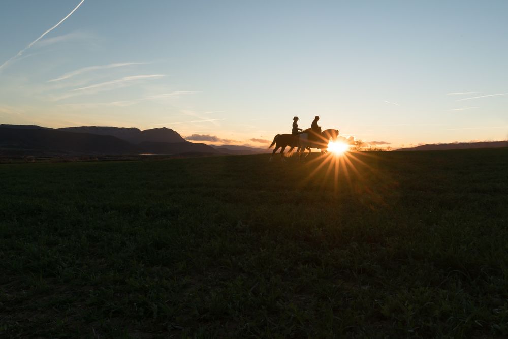 Man and woman riding horses