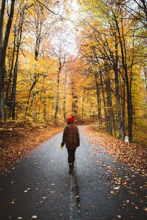 Woman in red knit cap walking on road between yellow trees