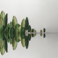 Green leaves in row on light background