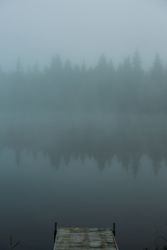 Old pier near lake on misty day