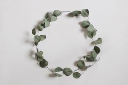Green floral wreath made of dry eucalyptus tree leaves and branches