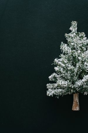 Snowy Christmas tree on dark table top