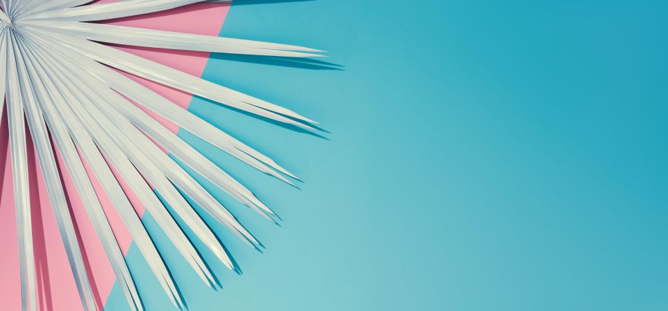 Tropical leaf on pastel pink and blue background