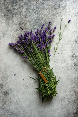 Bunch of lavender flowers on grey counter
