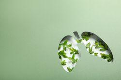 Lungs cut out of green paper revealing leaves underneath with copy space
