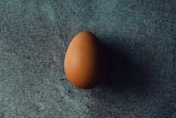 Brown egg top view on stone background