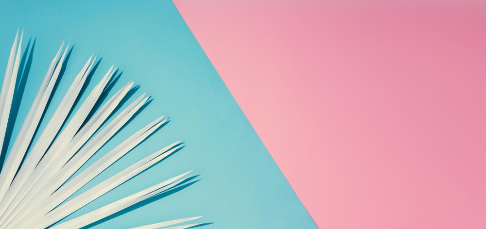 Tropical leaf on pastel pink and blue background