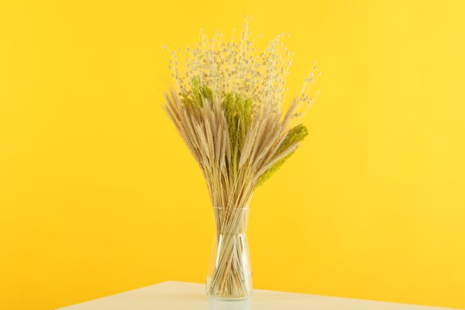 Glass vase filled with dried bunny tail flowers in yellow room