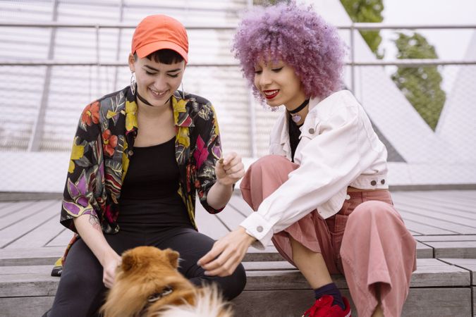 Women in colorful shirt and with pink hair training dog and having fun