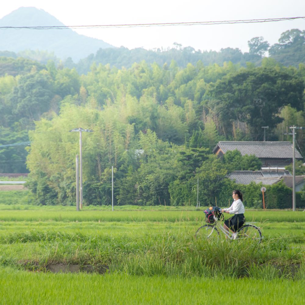 Woman riding bicycle on green grass field near mountainous landform