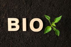 Inscription bio and green sprout in soil, space for text and top view. Environmental protection