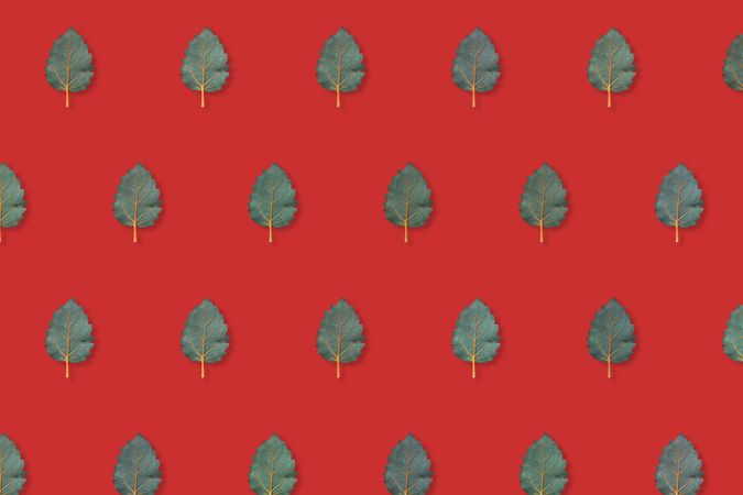Pattern of green leaves on red background