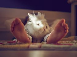 Unrecognizable kid with rabbit on floor