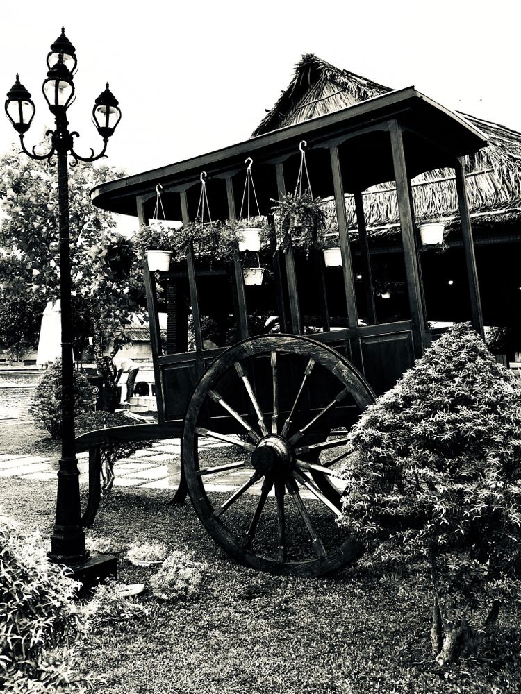 Grayscale photo of flower carriage beside street lantern