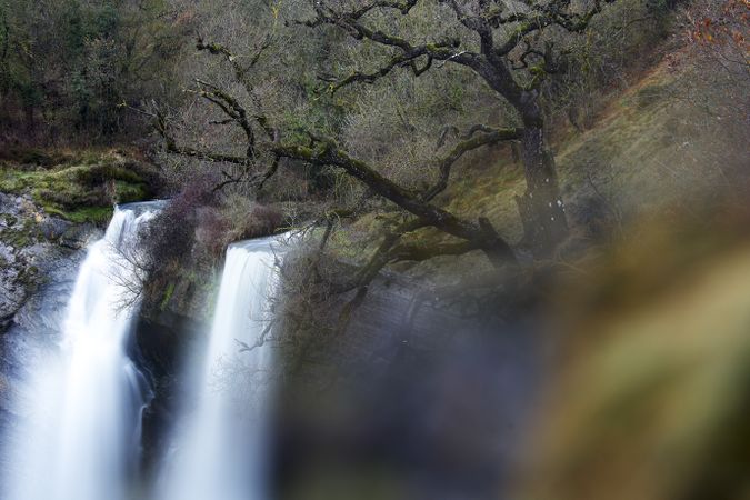 Autumn tree and waterfall