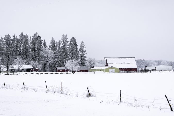 Farmhouses in fresh snow during on overcast wintry day