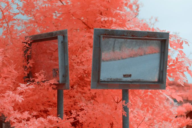 Shabby street mirrors near infrared tree