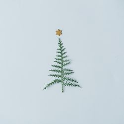 Christmas tree shape made with dingle branch with star on top