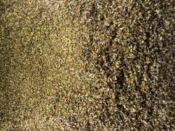 Oregano from the Grand Bazaar
