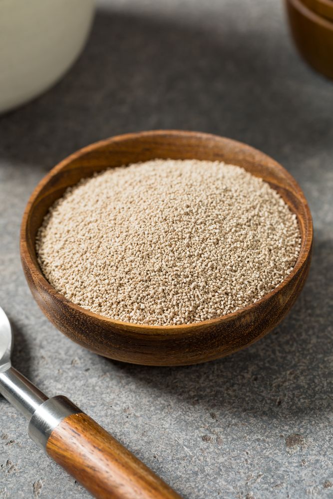 Raw Organic Active Dry Yeast