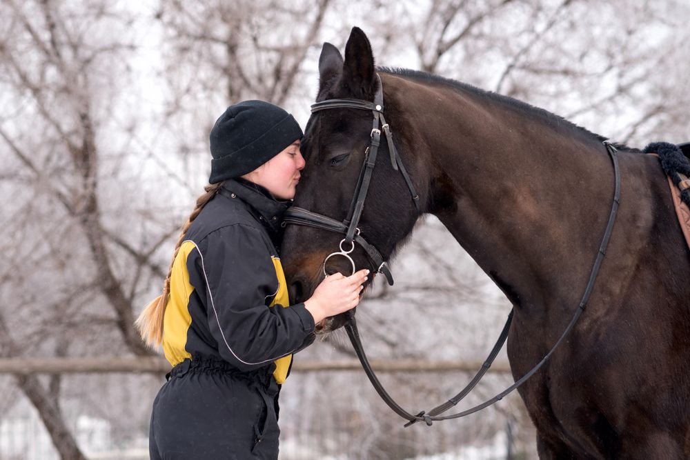 Person caressing and comforting horse outdoors.