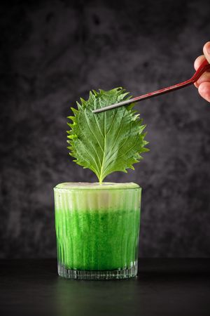 Crop person garnishing green cocktail with shiso leaf using tong