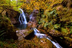 Small river and waterfall flowing in green dark beautiful forest.