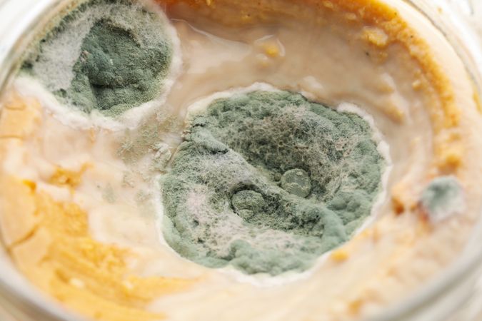 Jar with mold, close up and selective focus