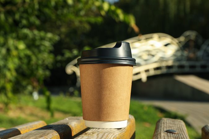 Paper cup on bench in beautiful city park