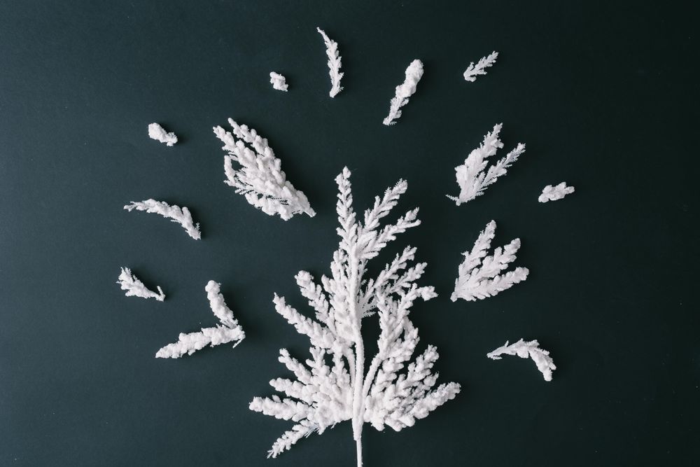 Christmas tree branches in tree shape on dark table background