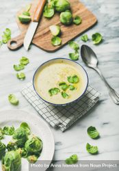 Brussels sprout soup, garnished with fresh sprouts, next to wooden board, vertical composition 5QKdXb