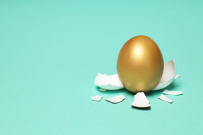 Golden egg, pension savings, investments, retirement, space for text