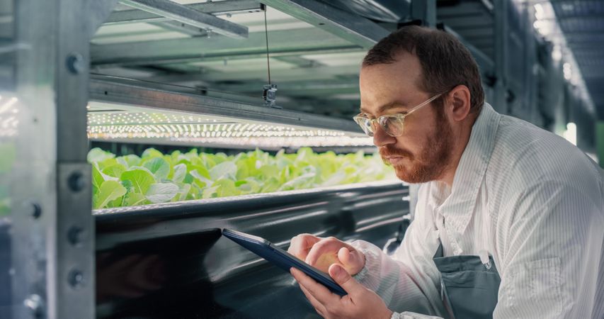 Adult Biology Scientist Closely Inspecting and Analyzing Young Growing Crops. Farming Engineer Using Tablet Computer and Working in a Vertical Farm Next to Rack with Natural Eco Plants