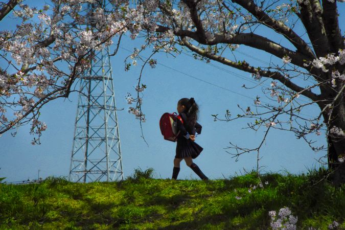 Girl in school uniform holding a backpack walking under cherry blossom tree in Japan