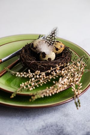 Easter table setting with delicate nest with small speckled eggs on green plate with branch