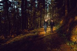 Men holding hands and walking in forest
