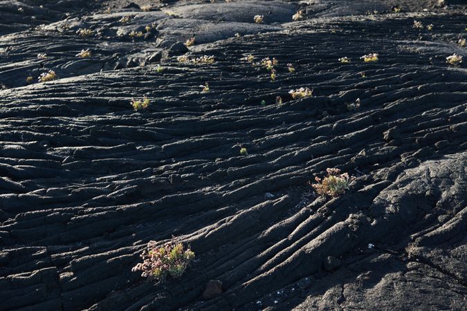 Texture of rough stone