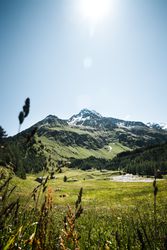 Green grass field near mountain