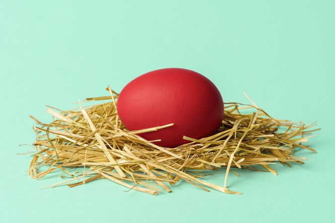 Red Easter egg on a pile of straws isolated on a green background
