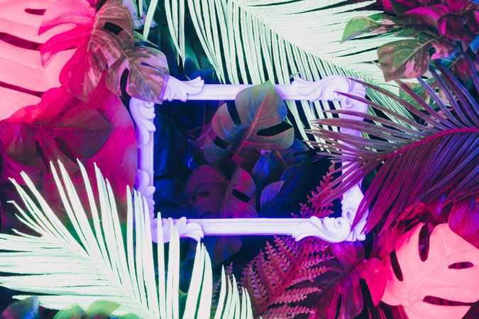 Creative fluorescent color layout made of tropical leaves with neon light square