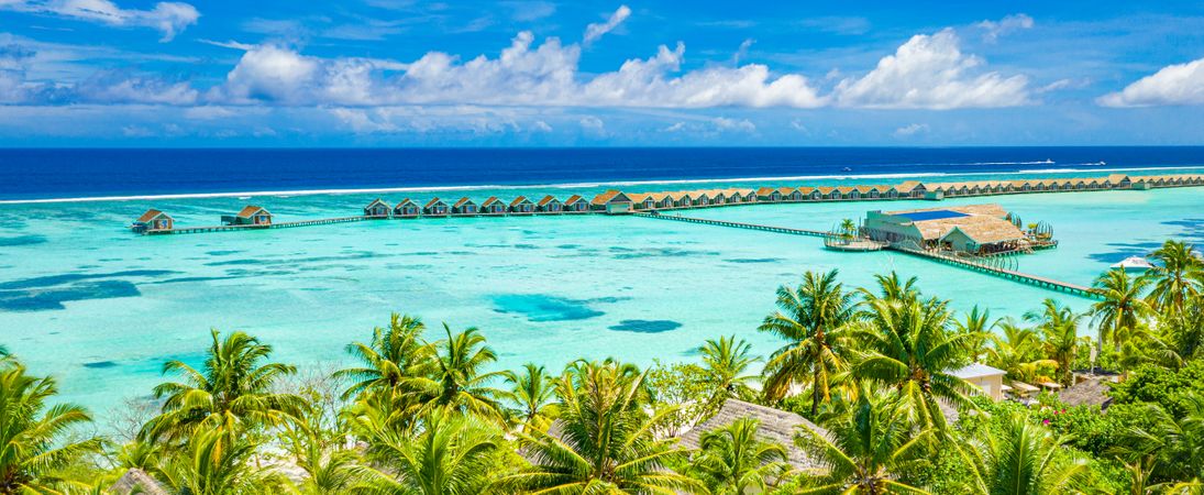 A long row of overwater bungalows in the Maldives with palm trees in the foreground, wide