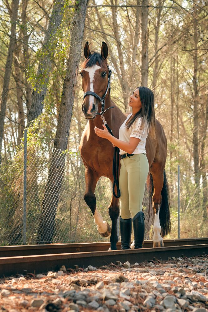 Smiling equestrian with horse in forest