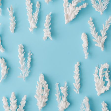 Snowy Christmas tree branches on pastel blue background