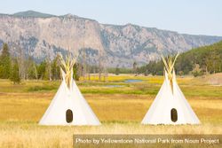 Yellowstone Revealed: Teepee Village at Madison Junction (4) 4By9x5