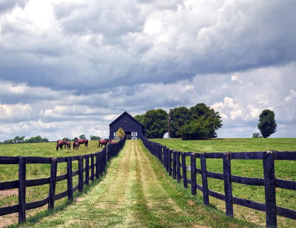 Horse farm, Frankfort, Kentucky