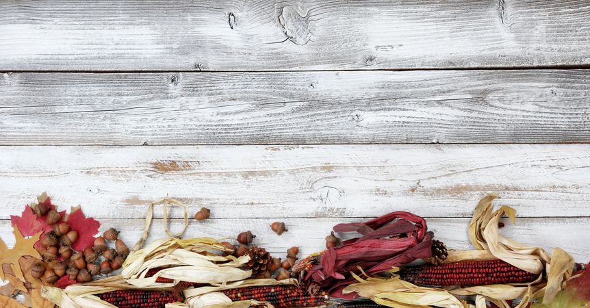 Autumn holiday concept with season decorations on bottom border of rustic wooden boards