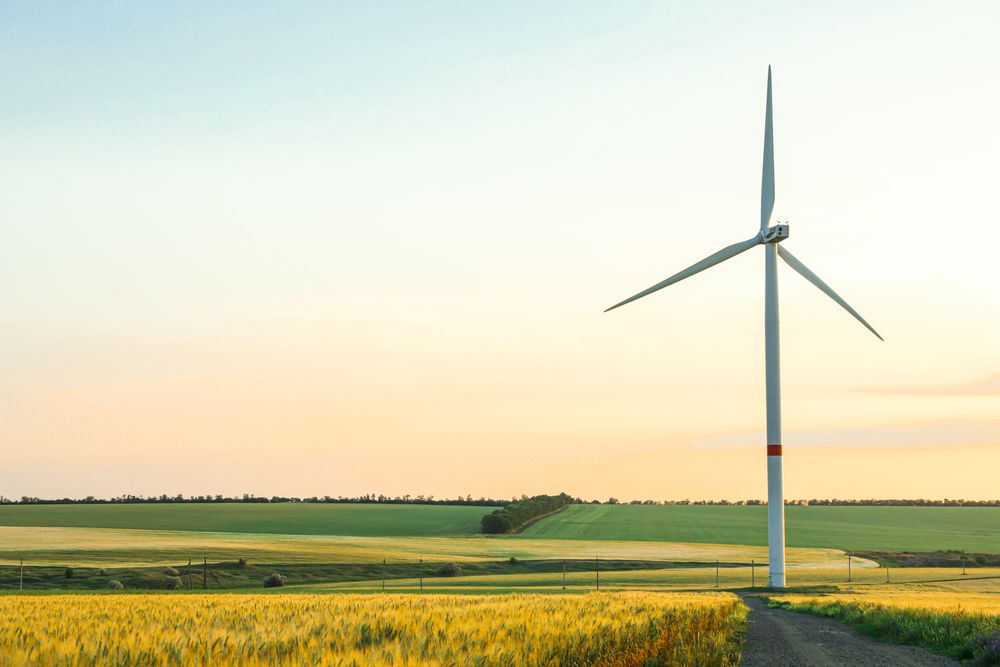 Wind turbine and beautiful fields at sunset, space for text