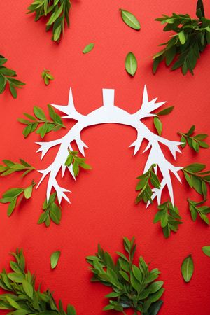 Vertical composition of lung bronchus on red background with ribbon and green foliage