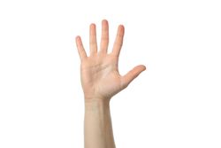 Female hand isolated on plain background. Gestures